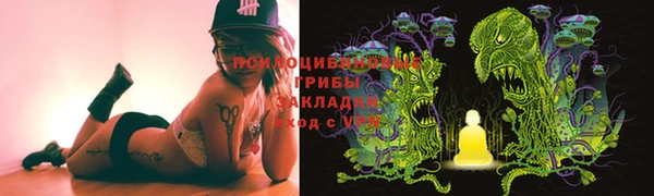 прущая мука Каменногорск