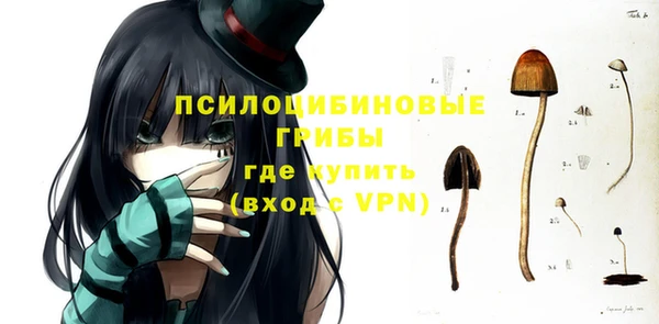 прущая мука Каменногорск