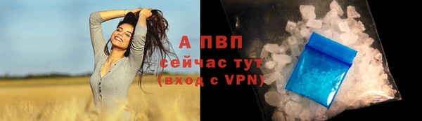 прущая мука Каменногорск