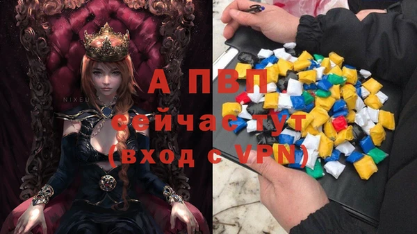 молекула духа Каменск-Шахтинский