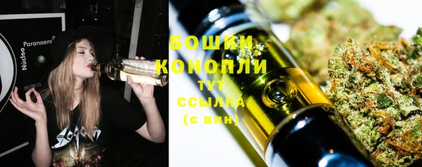 молекула духа Каменск-Шахтинский