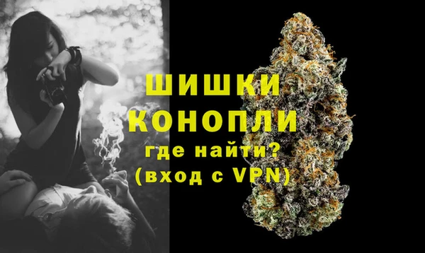 молекула духа Каменск-Шахтинский
