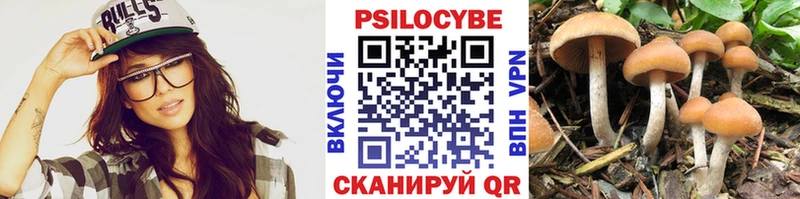 Галлюциногенные грибы Psilocybe  Купить  Зима 